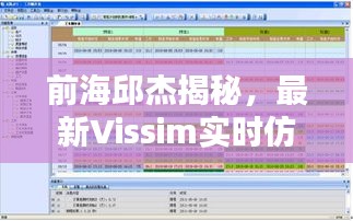 前海邱杰揭秘，最新Vissim实时仿真技术探秘