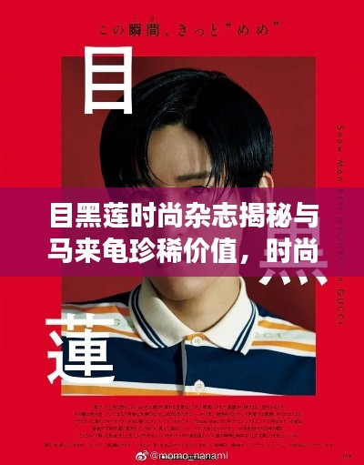 目黑莲时尚杂志揭秘与马来龟珍稀价值,时尚与动物的独特交汇