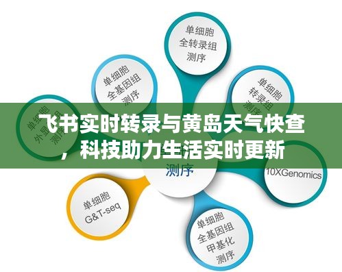 飞书实时转录与黄岛天气快查,科技助力生活实时更新