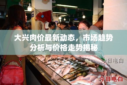 大兴肉价最新动态,市场趋势分析与价格走势揭秘
