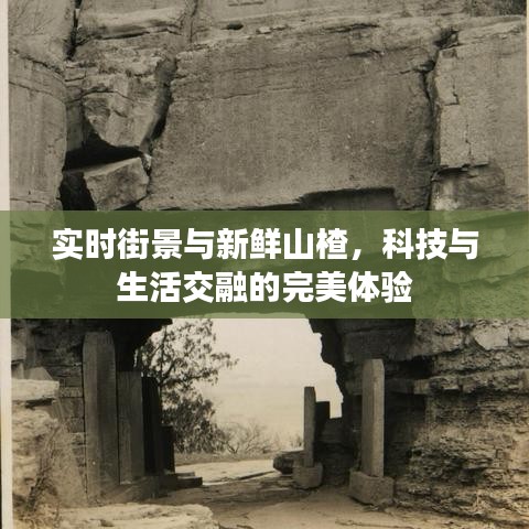 实时街景与新鲜山楂,科技与生活交融的完美体验