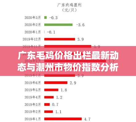 广东毛鸡价格出栏最新动态与潮州市物价指数分析,市场趋势预测实时查询