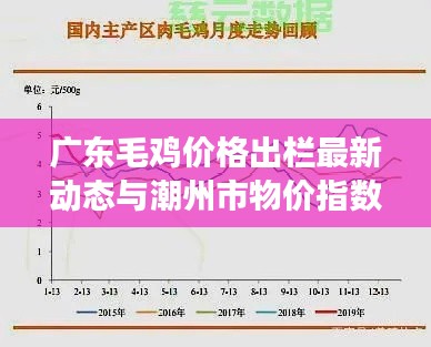 广东毛鸡价格出栏最新动态与潮州市物价指数分析,市场趋势预测实时查询
