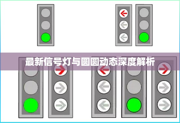 最新信号灯与圆圆动态深度解析