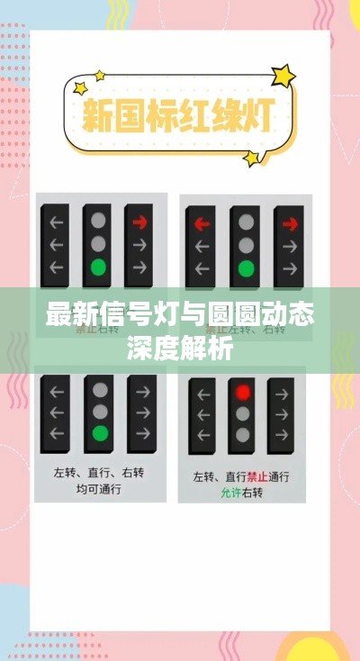 最新信号灯与圆圆动态深度解析