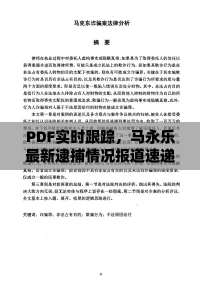 PDF实时跟踪,马永乐最新逮捕情况报道速递