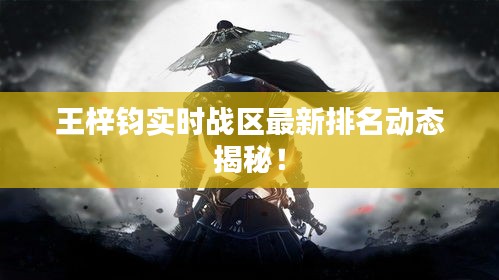 王梓钧实时战区最新排名动态揭秘!