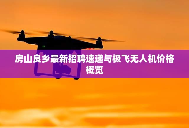 房山良乡最新招聘速递与极飞无人机价格概览