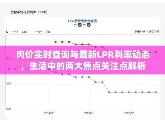 肉价实时查询与最新LPR利率动态,生活中的两大焦点关注点解析