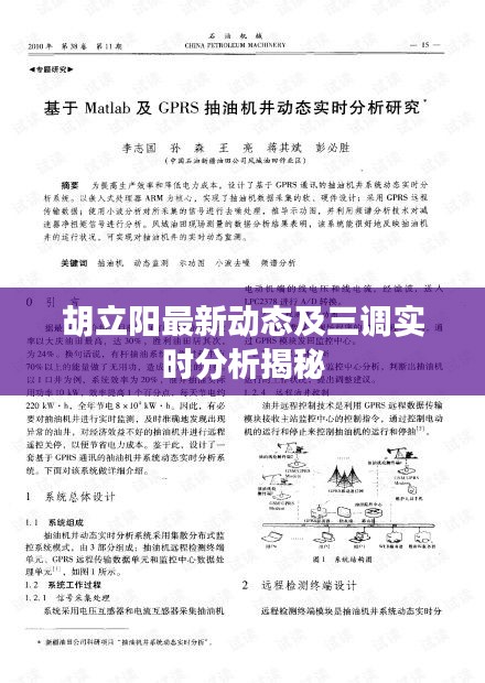 胡立阳最新动态及三调实时分析揭秘