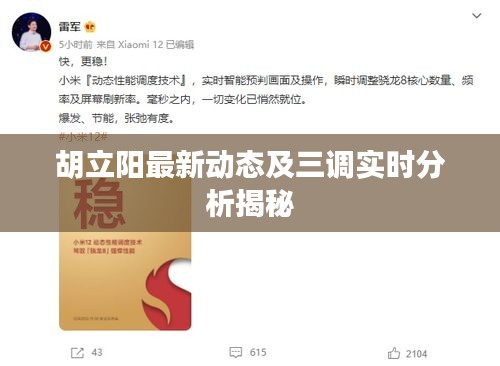 胡立阳最新动态及三调实时分析揭秘