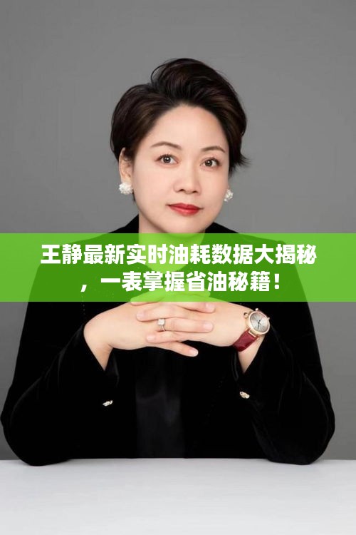 王静最新实时油耗数据大揭秘,一表掌握省油秘籍!