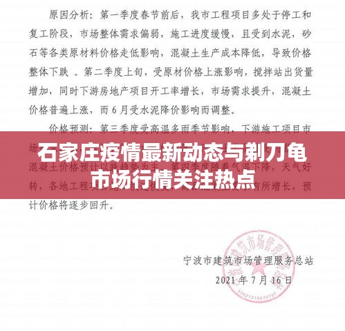 石家庄疫情最新动态与剃刀龟市场行情关注热点