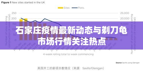 石家庄疫情最新动态与剃刀龟市场行情关注热点