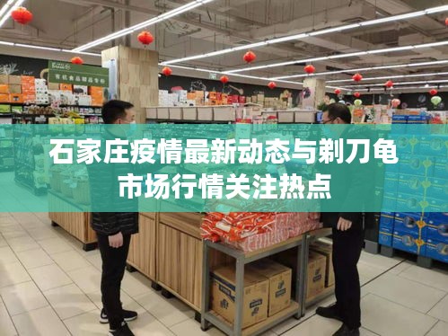 石家庄疫情最新动态与剃刀龟市场行情关注热点