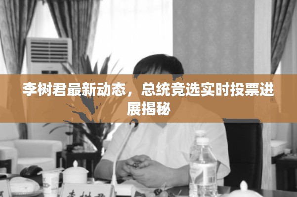 李树君最新动态,总统竞选实时投票进展揭秘