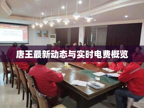唐王最新动态与实时电费概览