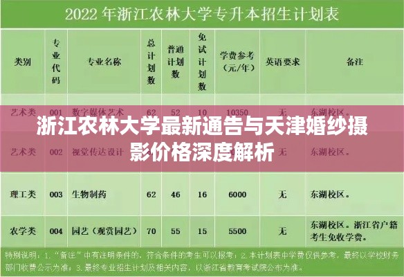 浙江农林大学最新通告与天津婚纱摄影价格深度解析