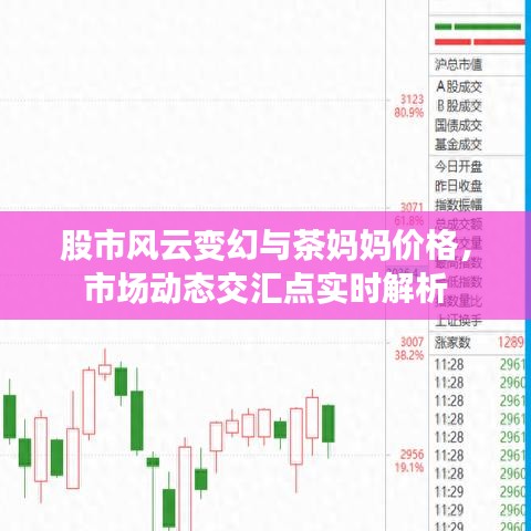 股市风云变幻与茶妈妈价格,市场动态交汇点实时解析