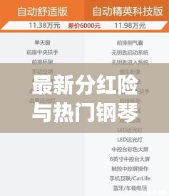 最新分红险与热门钢琴品牌指南,全方位解读及价格参考