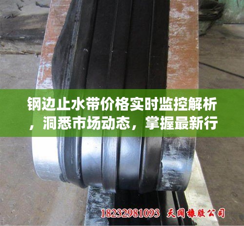 钢边止水带价格实时监控解析,洞悉市场动态,掌握最新行情!