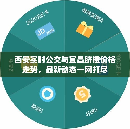 西安实时公交与宜昌脐橙价格走势,最新动态一网打尽