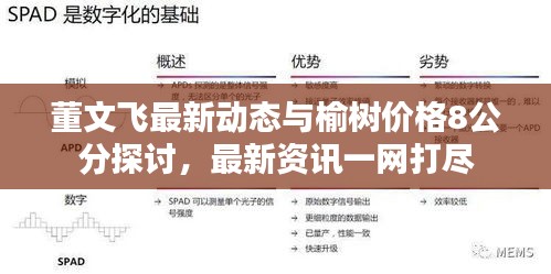 关于我们 第49页