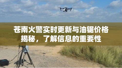 苍南火警实时更新与油锯价格揭秘,了解信息的重要性