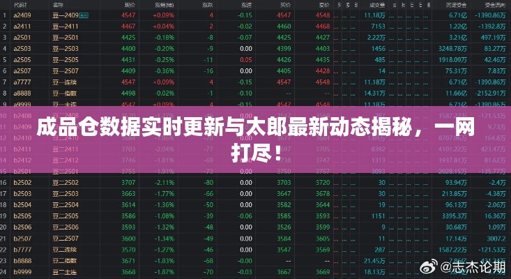 成品仓数据实时更新与太郎最新动态揭秘,一网打尽!