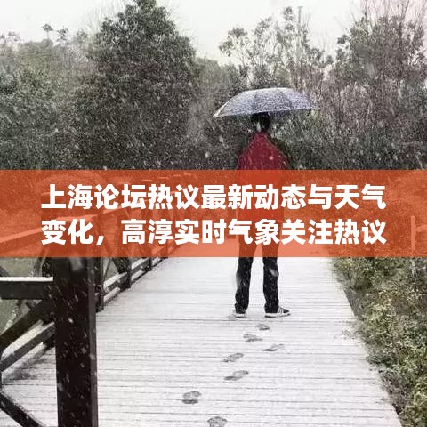 上海论坛热议最新动态与天气变化,高淳实时气象关注热议话题