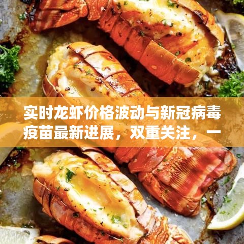 实时龙虾价格波动与新冠病毒疫苗最新进展,双重关注,一网打尽!
