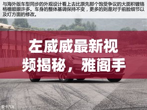 左威威最新视频揭秘,雅阁手表价格深度解析