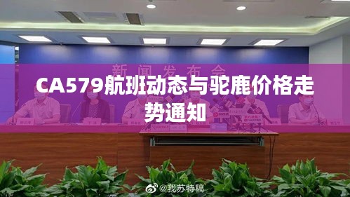CA579航班动态与驼鹿价格走势通知