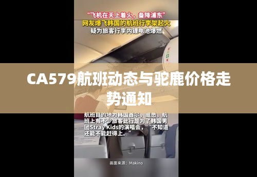CA579航班动态与驼鹿价格走势通知