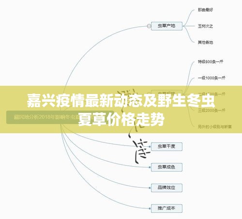 嘉兴疫情最新动态及野生冬虫夏草价格走势