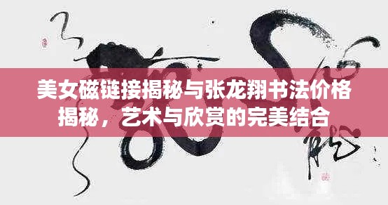 美女磁链接揭秘与张龙翔书法价格揭秘,艺术与欣赏的完美结合