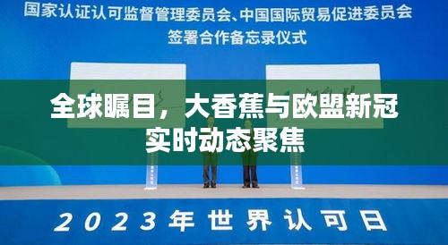 全球瞩目,大香蕉与欧盟新冠实时动态聚焦