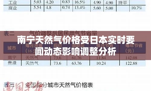 南宁天然气价格受日本实时要闻动态影响调整分析