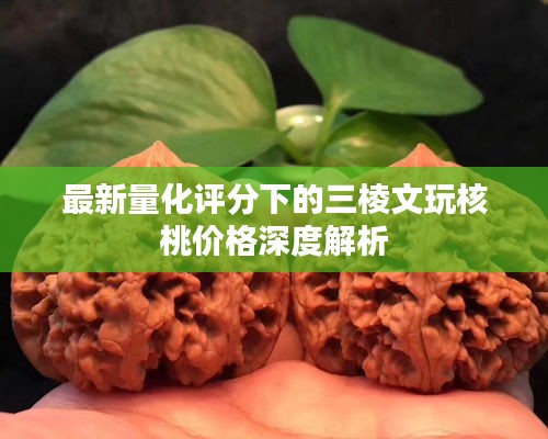 最新量化评分下的三棱文玩核桃价格深度解析