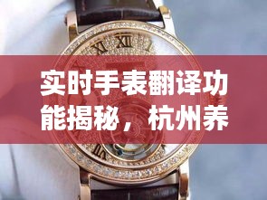 实时手表翻译功能揭秘,杭州养老院价格大解析