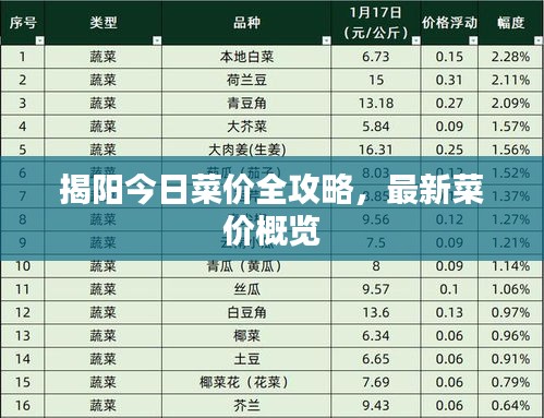 揭阳今日菜价全攻略,最新菜价概览