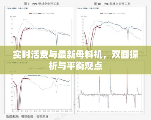 实时活费与最新母料机,双面探析与平衡观点