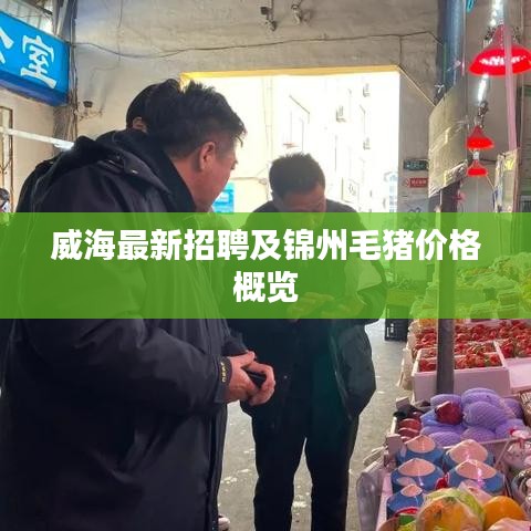 威海最新招聘及锦州毛猪价格概览