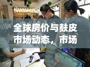全球房价与麸皮市场动态,市场脉搏与风云变幻
