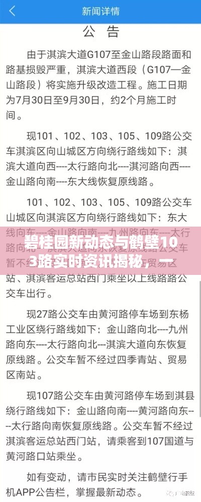 碧桂园新动态与鹤壁103路实时资讯揭秘,一站式获取你所关心的资讯!