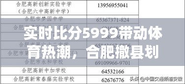 实时比分5999带动体育热潮,合肥撤县划区改革取得重要进展