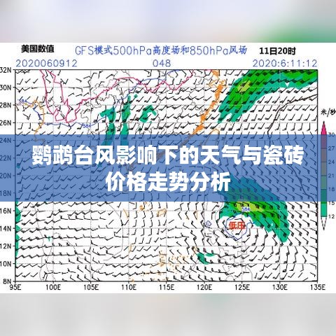 鹦鹉台风影响下的天气与瓷砖价格走势分析