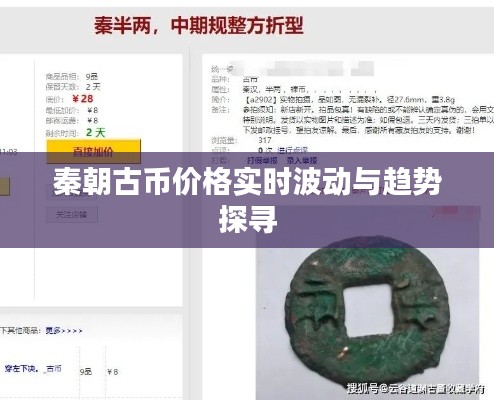 秦朝古币价格实时波动与趋势探寻