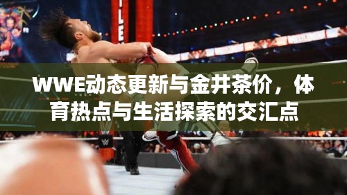 WWE动态更新与金井茶价,体育热点与生活探索的交汇点