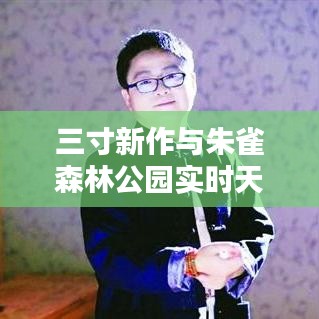 三寸新作与朱雀森林公园实时天气状况研究分析